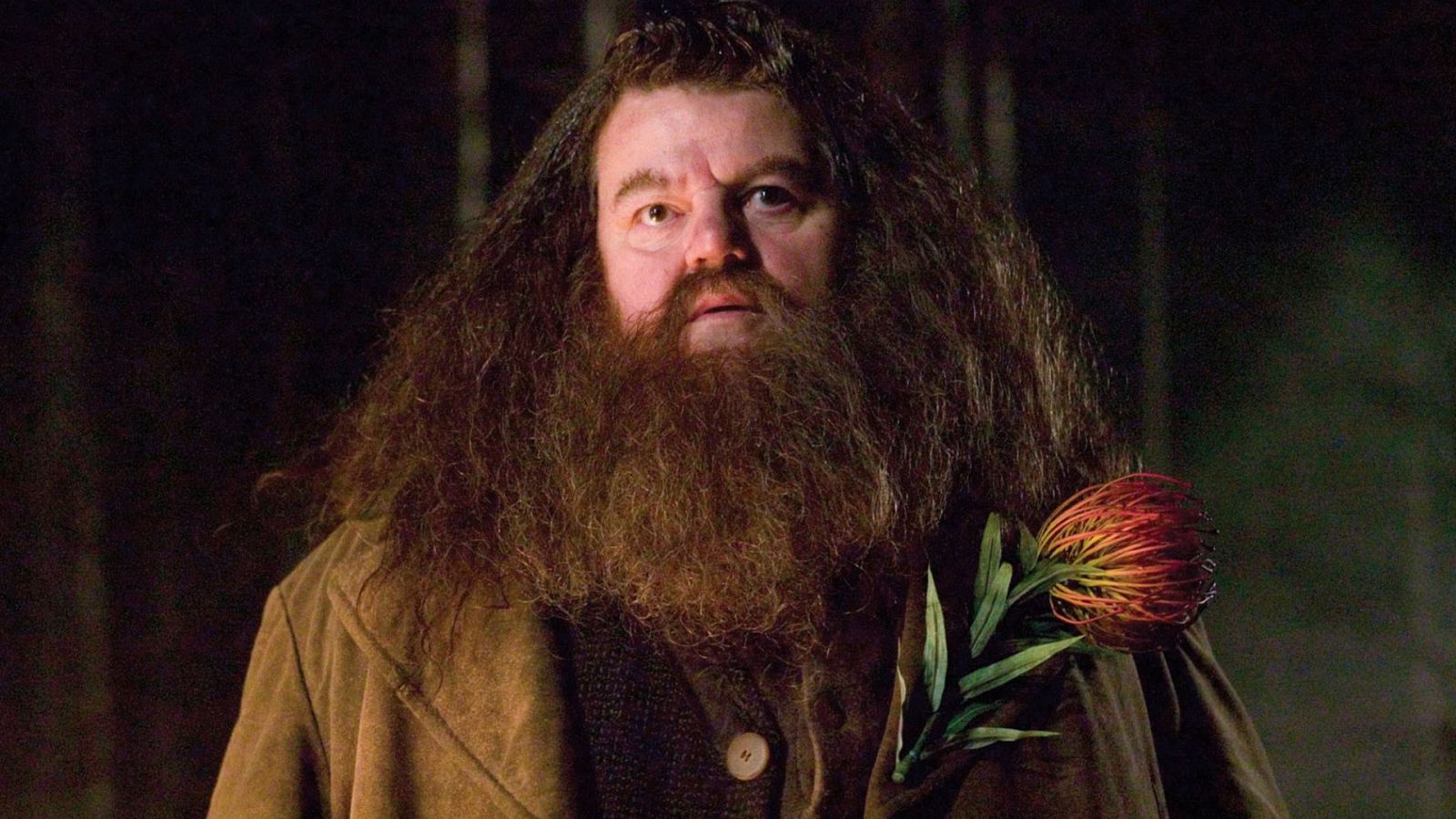 Robbie Coltrane