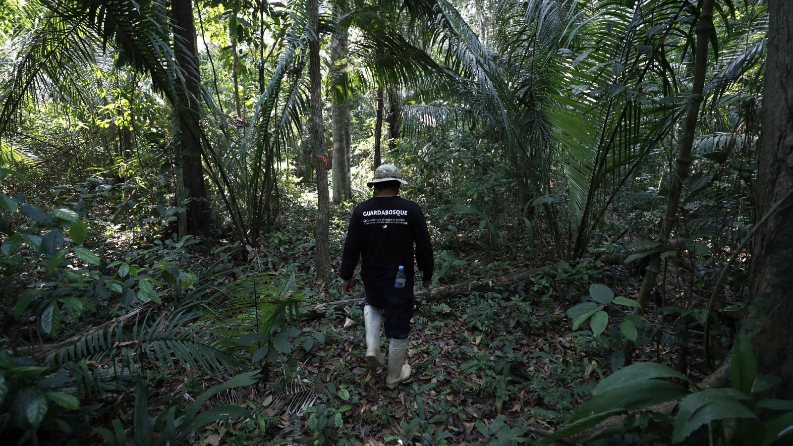 Un guardabosques en la Amazonía de Perú