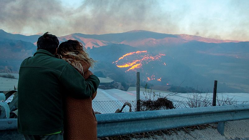 Incendio en Gualchos, en la costa de Granada, en diciembre del año pasado