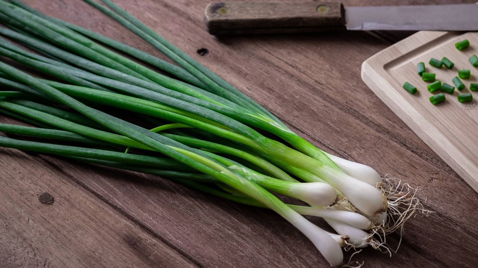 Cebolla china origen, propiedades y cultivo