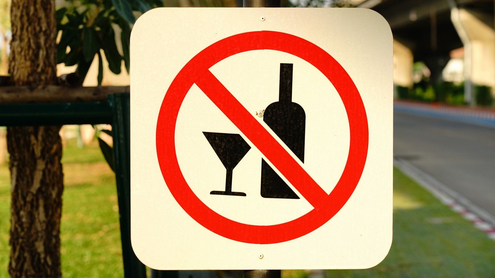 El 15 de noviembre se celebra el Día mundial sin alcohol