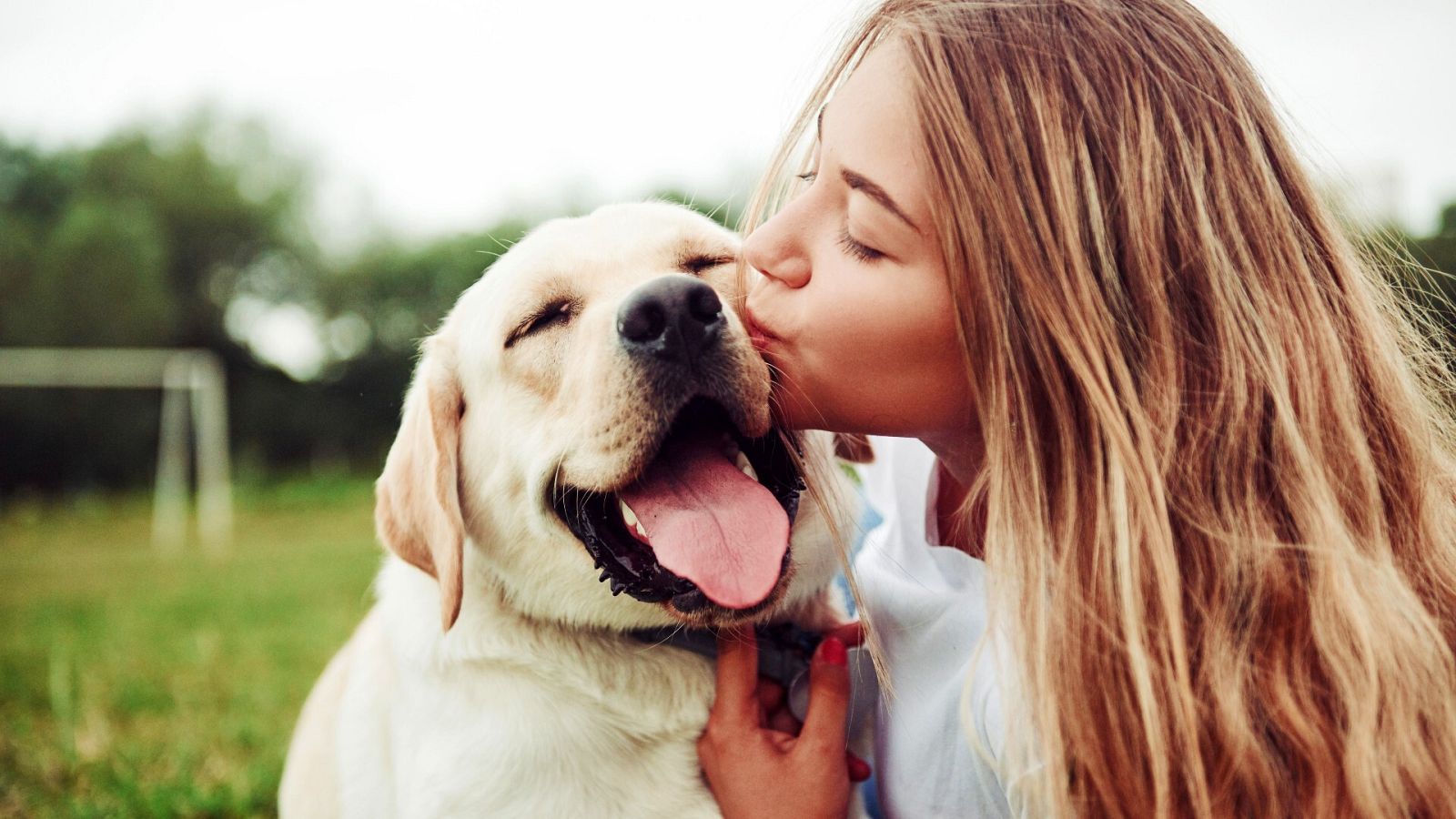 Abrazo de una mascota y su dueña