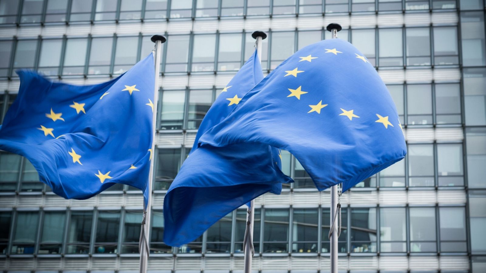 Banderas de la Unión Europea ante el edificio del Parlamento Europeo