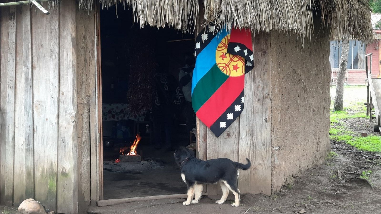 bandera mapuche