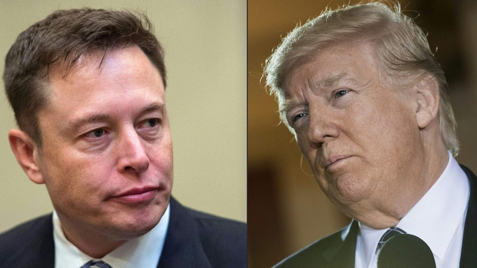 Fotomontaje con una imagen de archivo de Elon Musk y otra de Donald Trump.