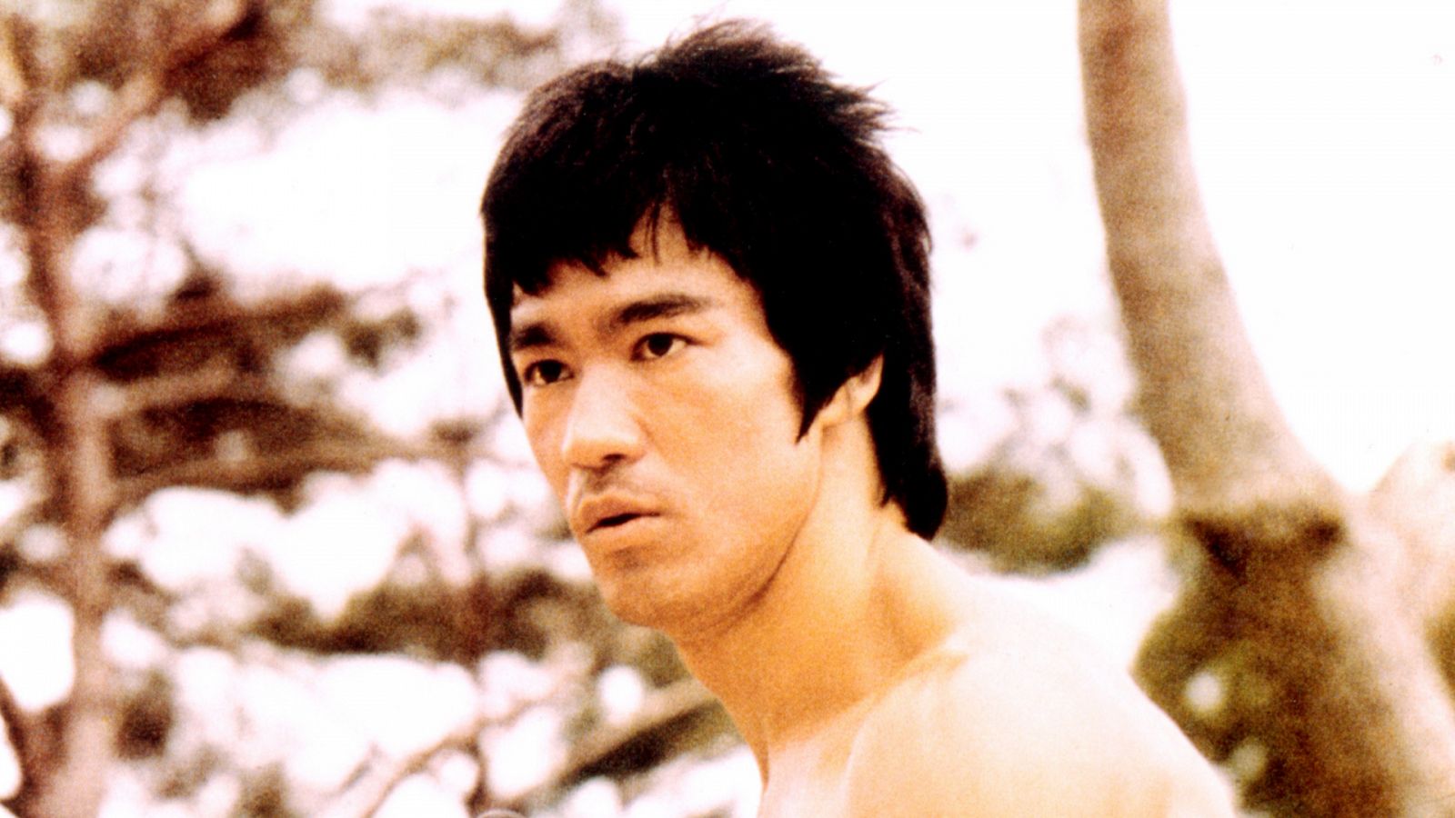 Imagen de Bruce Lee a principios de los años 70