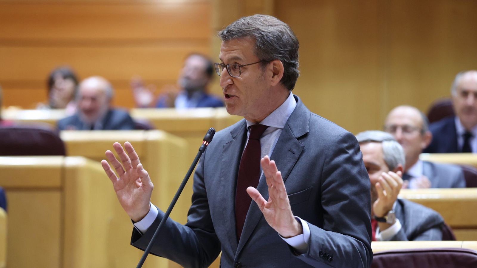 El líder del PP, Alberto Núñez Feijóo, interviene en el pleno del Senado en Madrid este martes