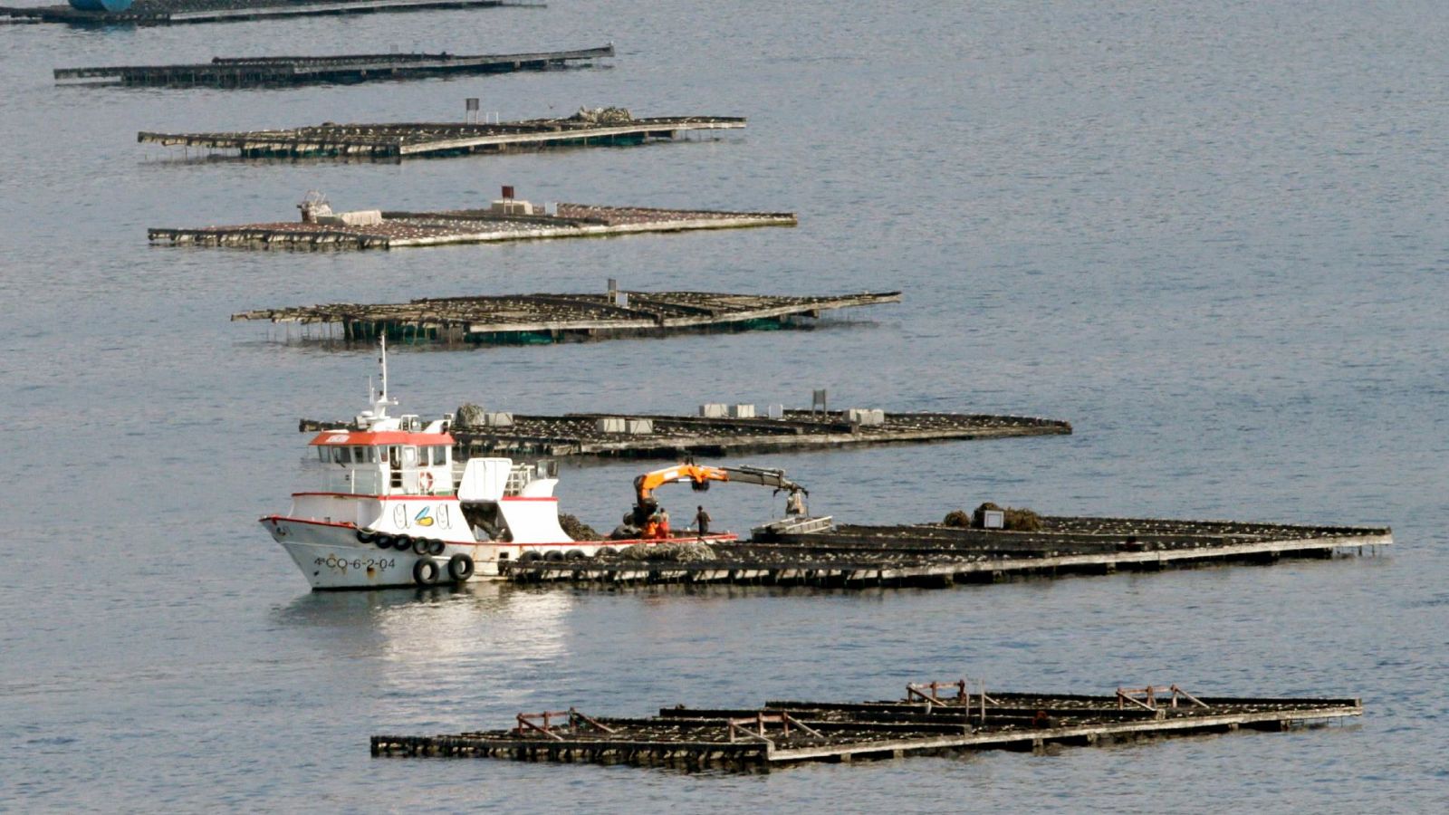 Bateas dedicadas a la cria de mejillón, en Muros, A coruña.