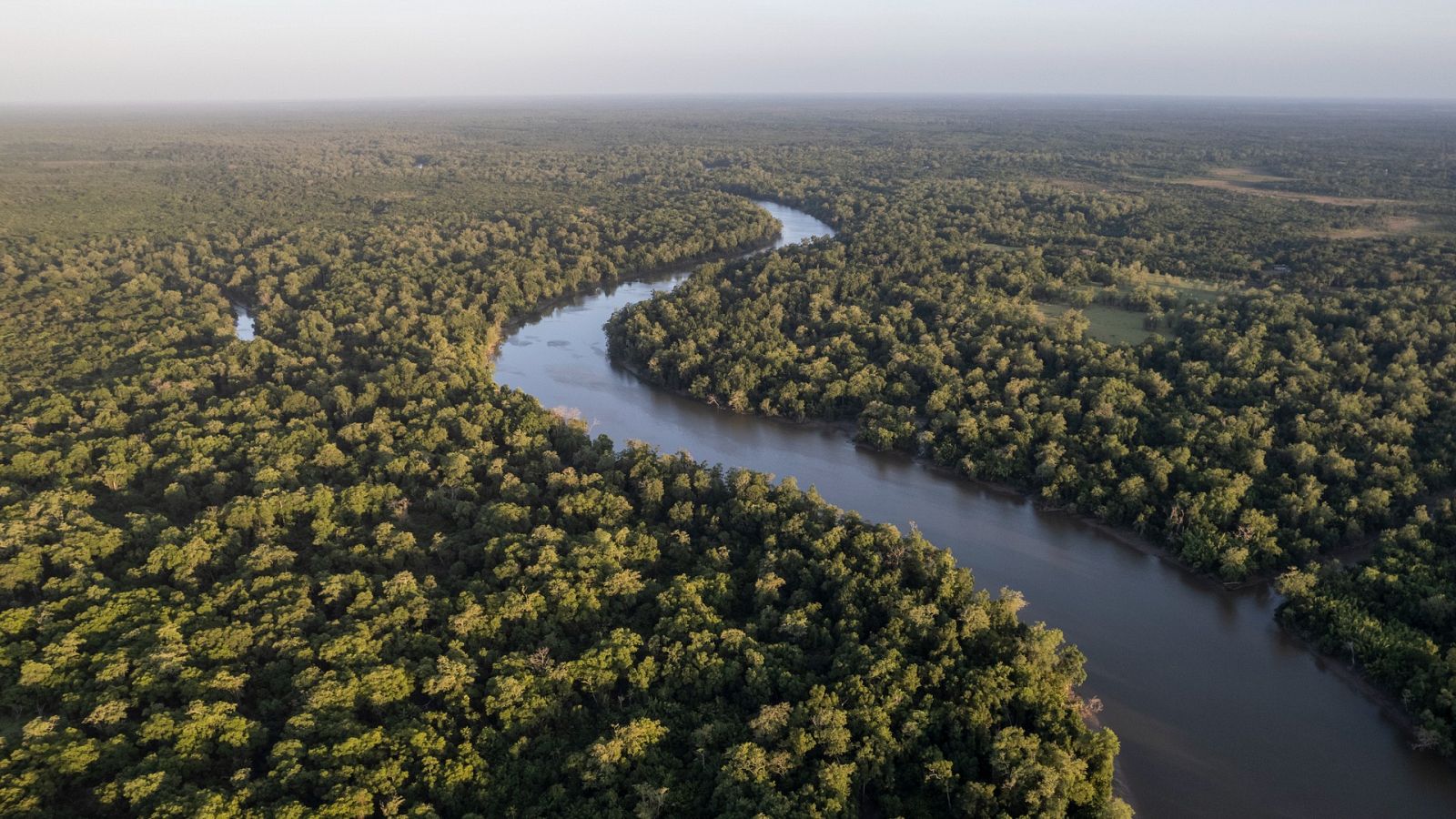 El pacto se ha celebrado como el equivalente al Acuerdo de París para la biodiversidad