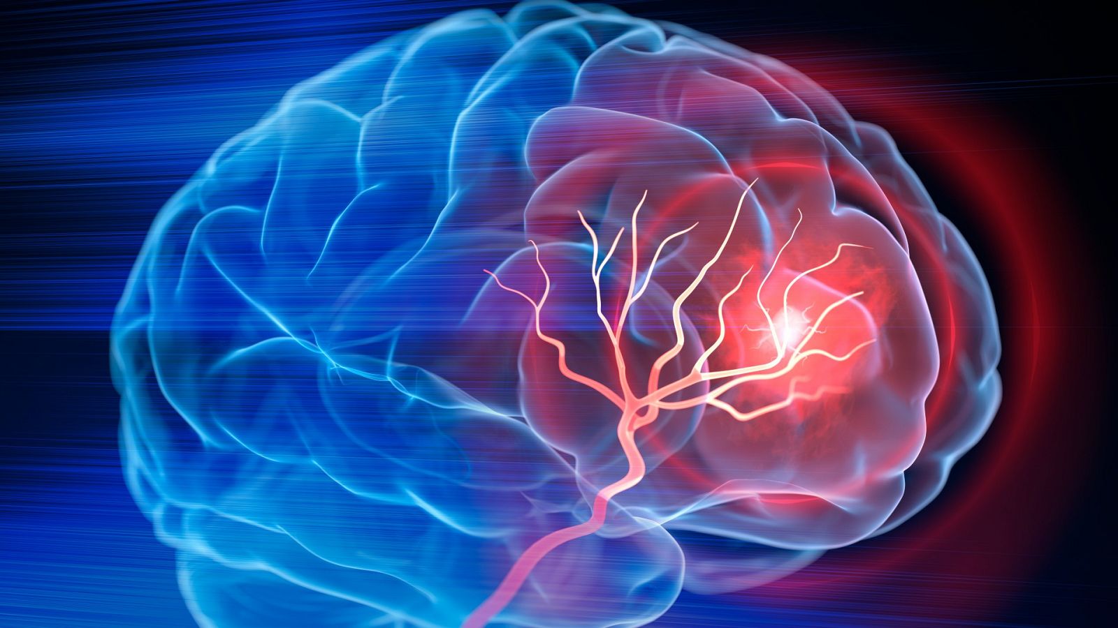 El cerebro es el órgano de nuestro cuerpo que posibilita todo lo que hacemos