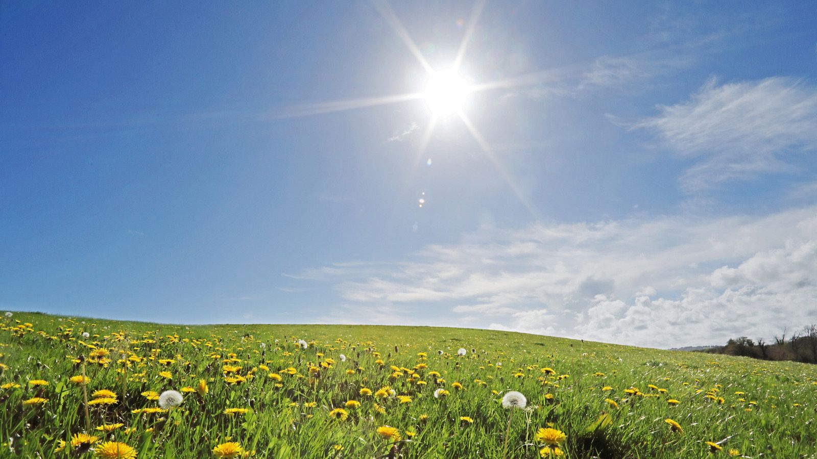 Fotografía de un paisaje con un cielo soleado