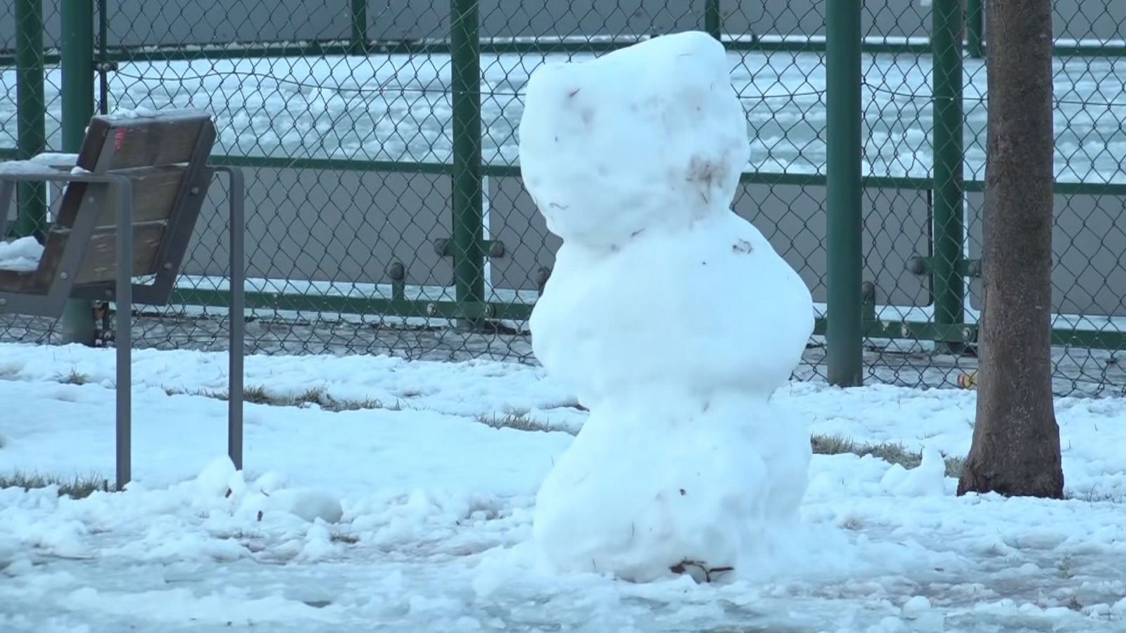 El temporal de neu afecta al Ripollès, Osona i Terres de l'Ebre