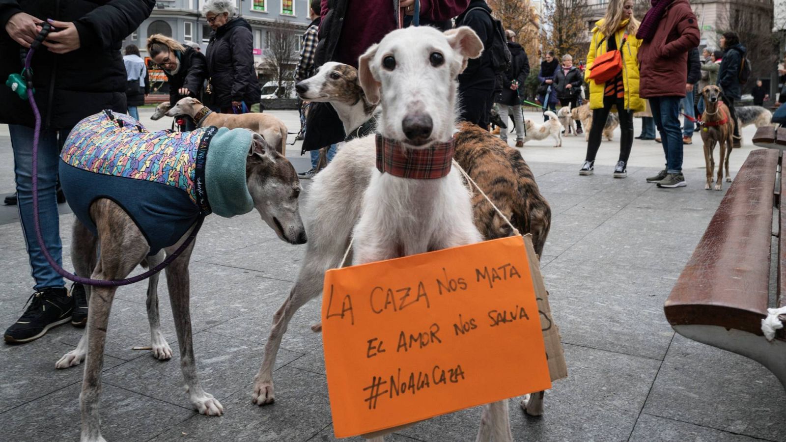 Manifestación para exigir que se prohíba el uso de perros para la caza y se les proteja en la ley de Bienestar Animal