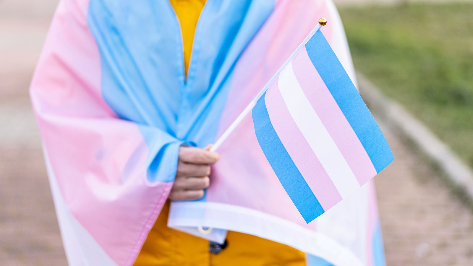La ley trans