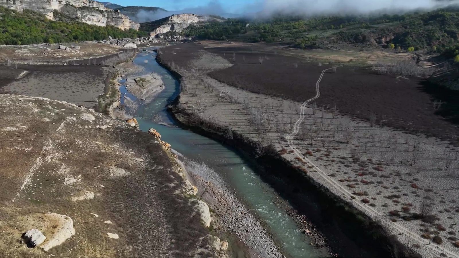 Sequera al Congost de Montrebei