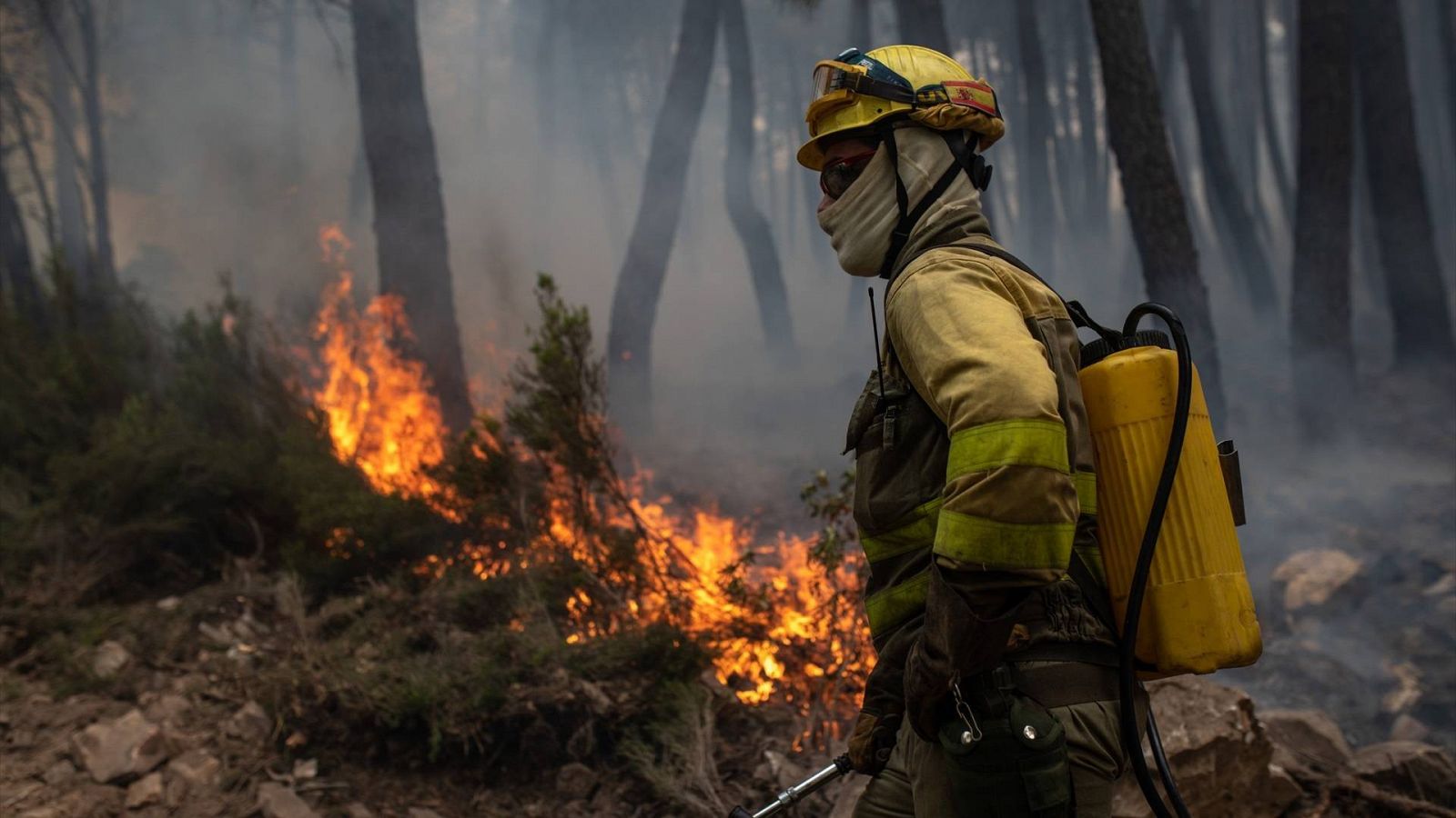 Declarado de nivel 2 el incendio en la Sierra de la Culebra (Zamora)