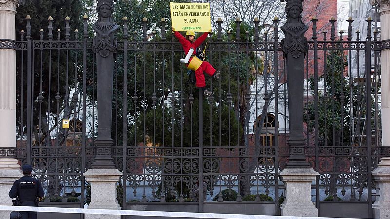 Greenpeace bloquea las entradas del Ministerio de Agricultura en protesta por las macrogranjas Una mujer miembro de Greenpeace con un cartel en el que se lee: 'Las macrogranjas están envenenando el agua'