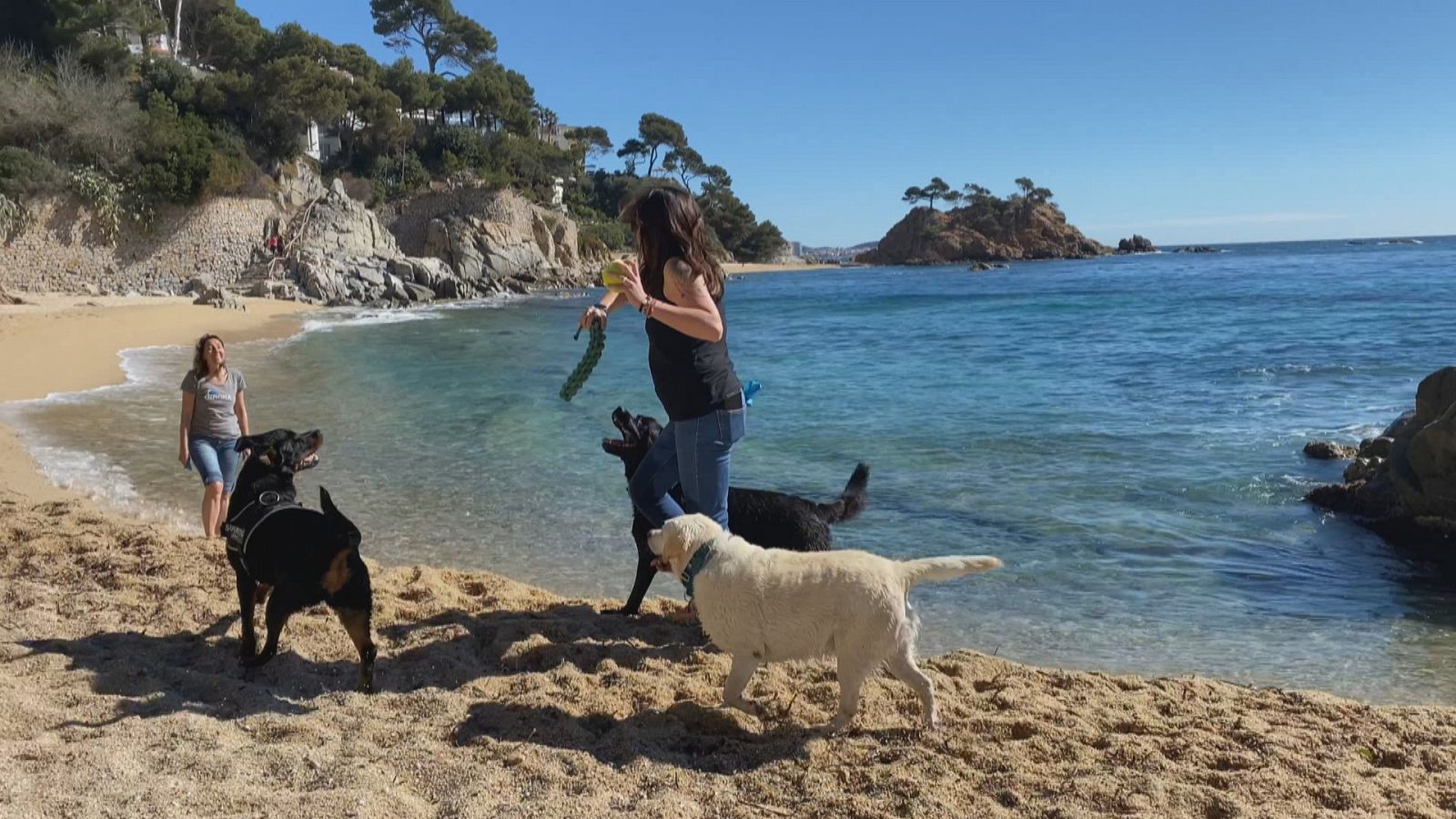 Cala Belladona serà una platja per a gossos