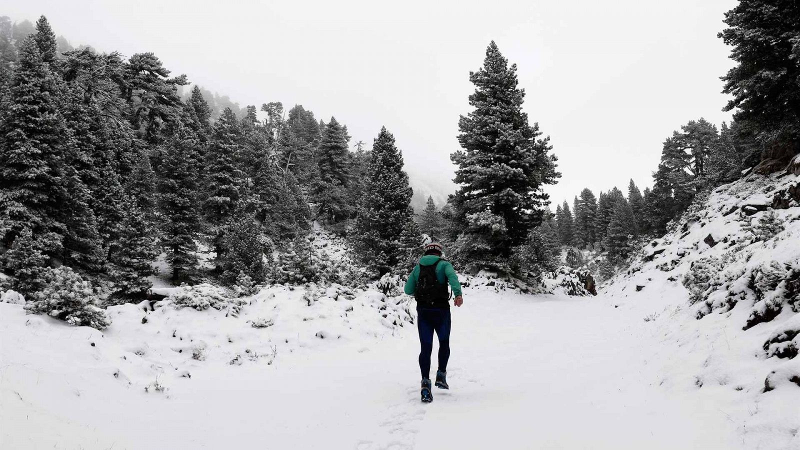 Encuentran sin vida a dos montañeros españoles perdidos en los Pirineos franceses.