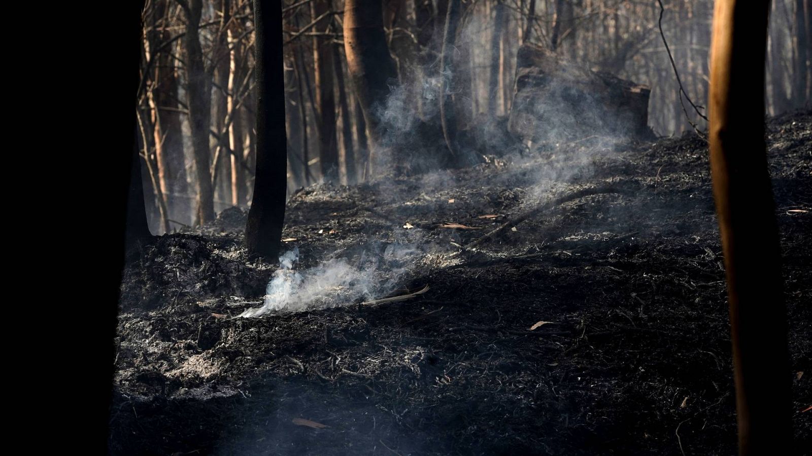 Imagen de zonas aún humeantes y con riesgo de incendio en los bosques de Pereda