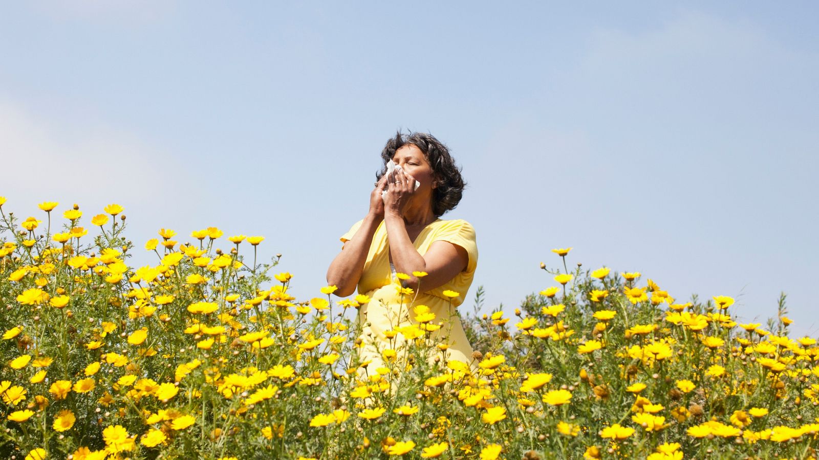 Combate la alergia con estos remedios naturales