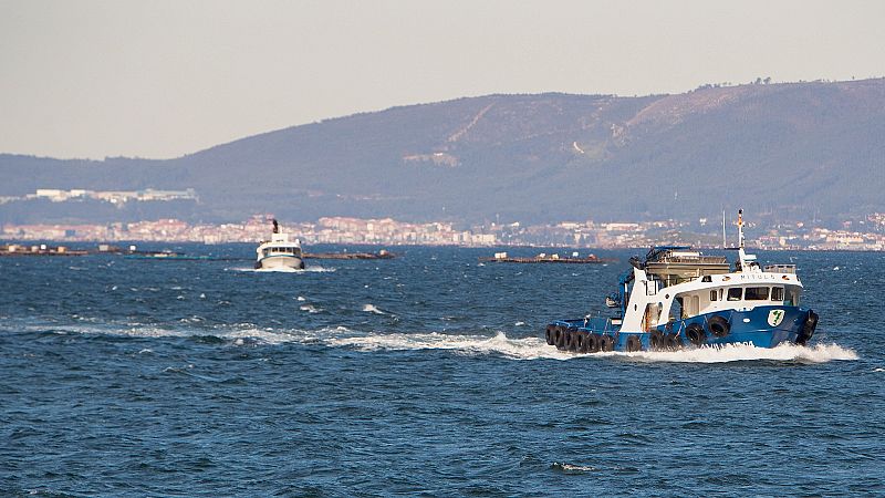 El conflicto entre mejilloneros y percebeiros estalla en Santiago de Compostela con arrestos y cargas policiales