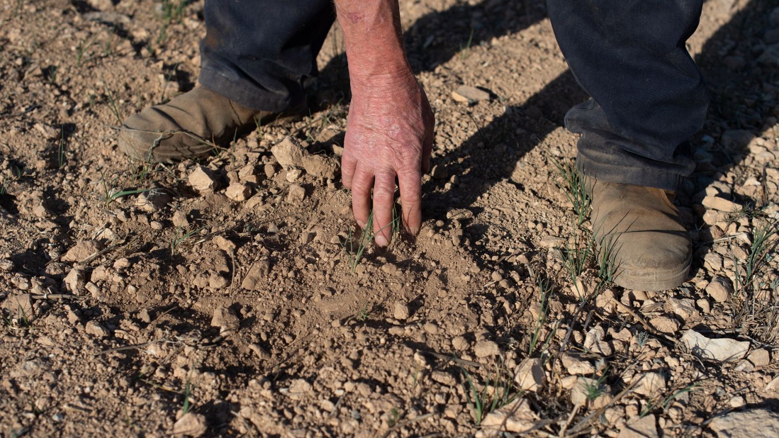 Un agricultor muestra la tierra seca en Murcia