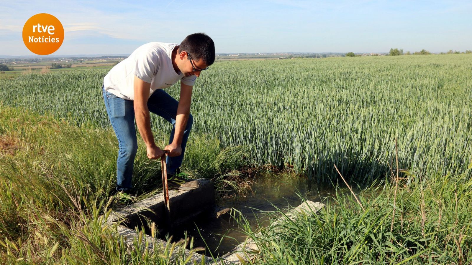 Regant del Canal d'Urgell - Noticies avui a Catalunya