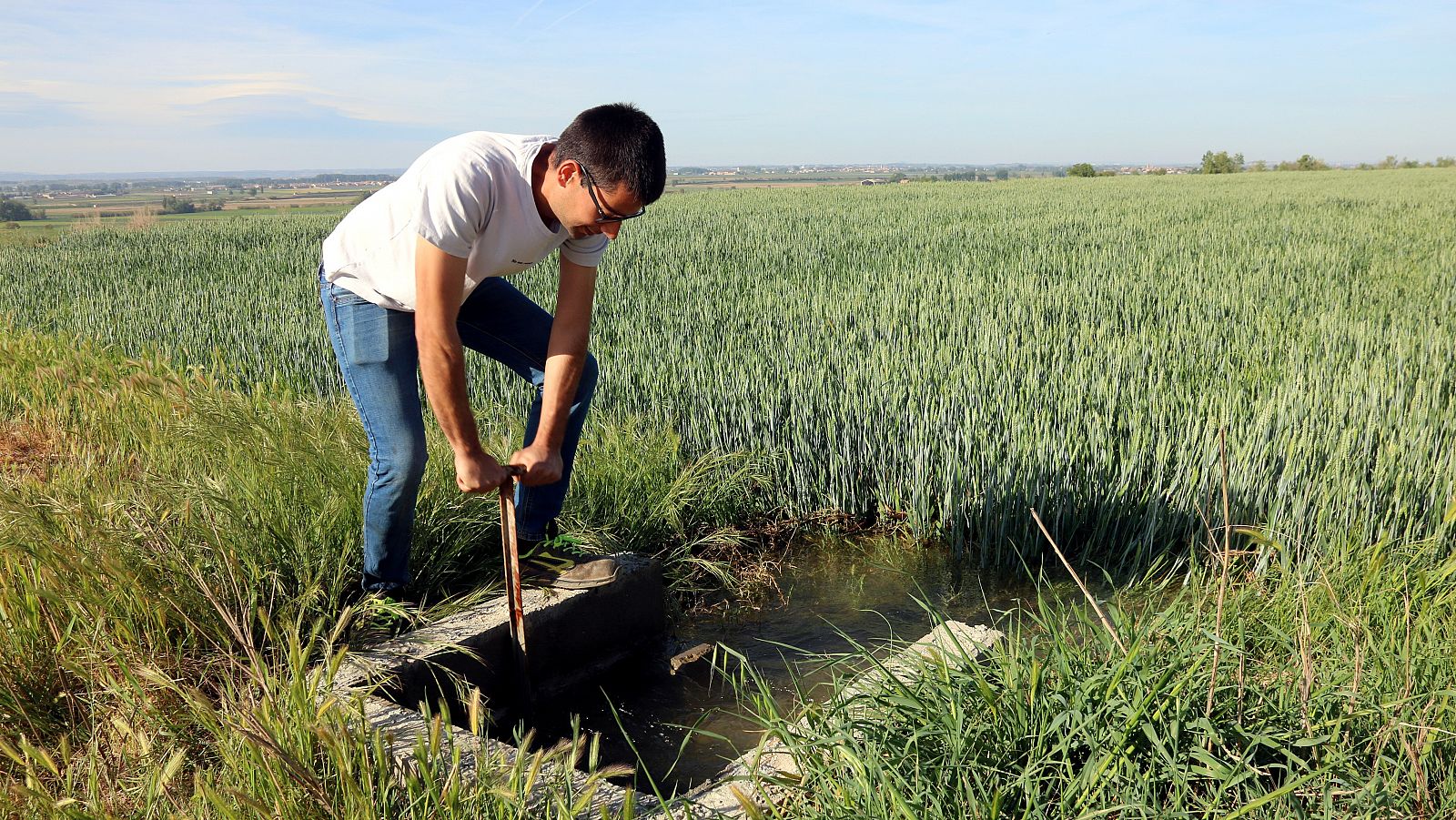 Els regants del Canal d'Urgell tanquen la campanya 5 mesos abans del previst per la sequera