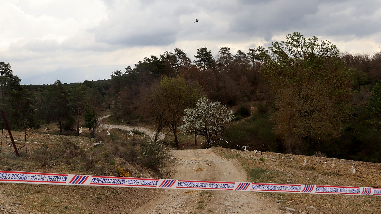 Un helicòpter sobrevola la zona on han caigut les aeronaus i que els Mossos han acordonat