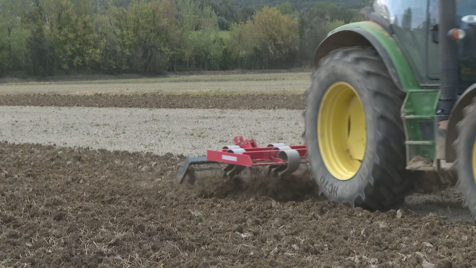 La manca d'aigua i la pedregada perjudiquen greument el sector agrari