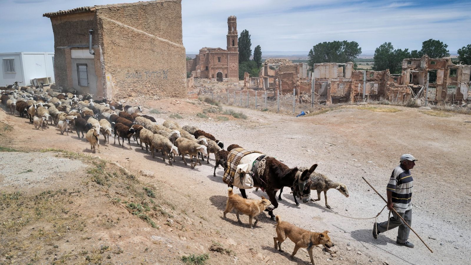 Agricultores y ganaderos ven "insuficiente" el paquete de ayudas contra la sequía