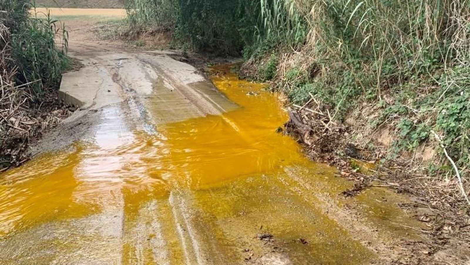 La fuita ha abocat desenes de milers de litres d'oli de palma a la riera Seca | Ajuntament de Santa Perpètua de Mogoda