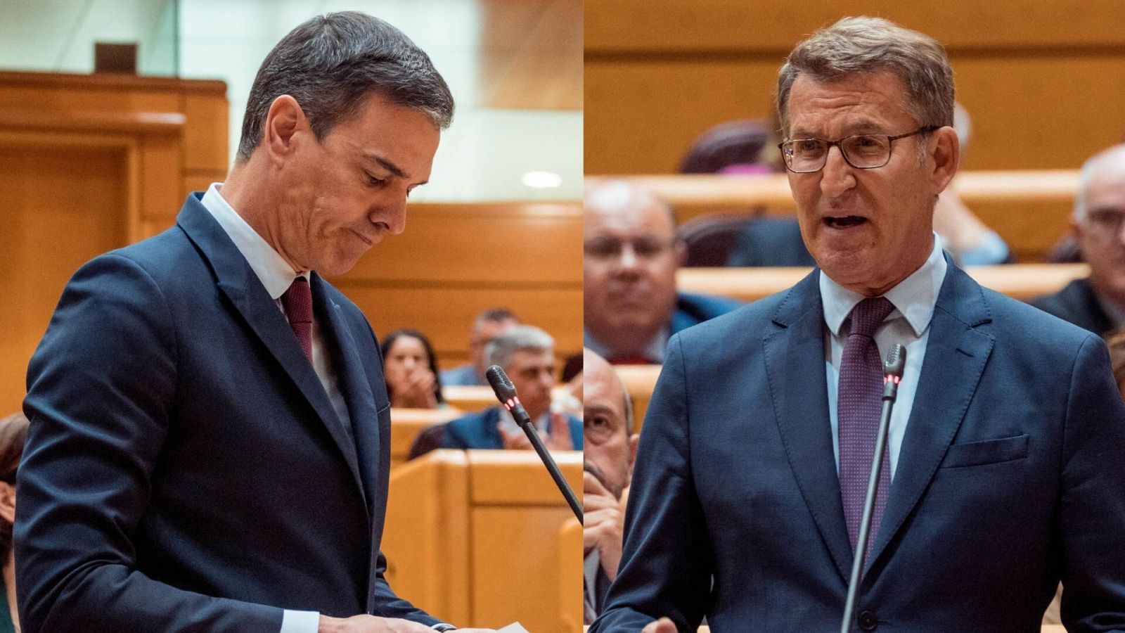 Barómetro CIS: Pedro Sánchez y Alberto Núñez Feijóo durante el pleno del Senado del pasado martes