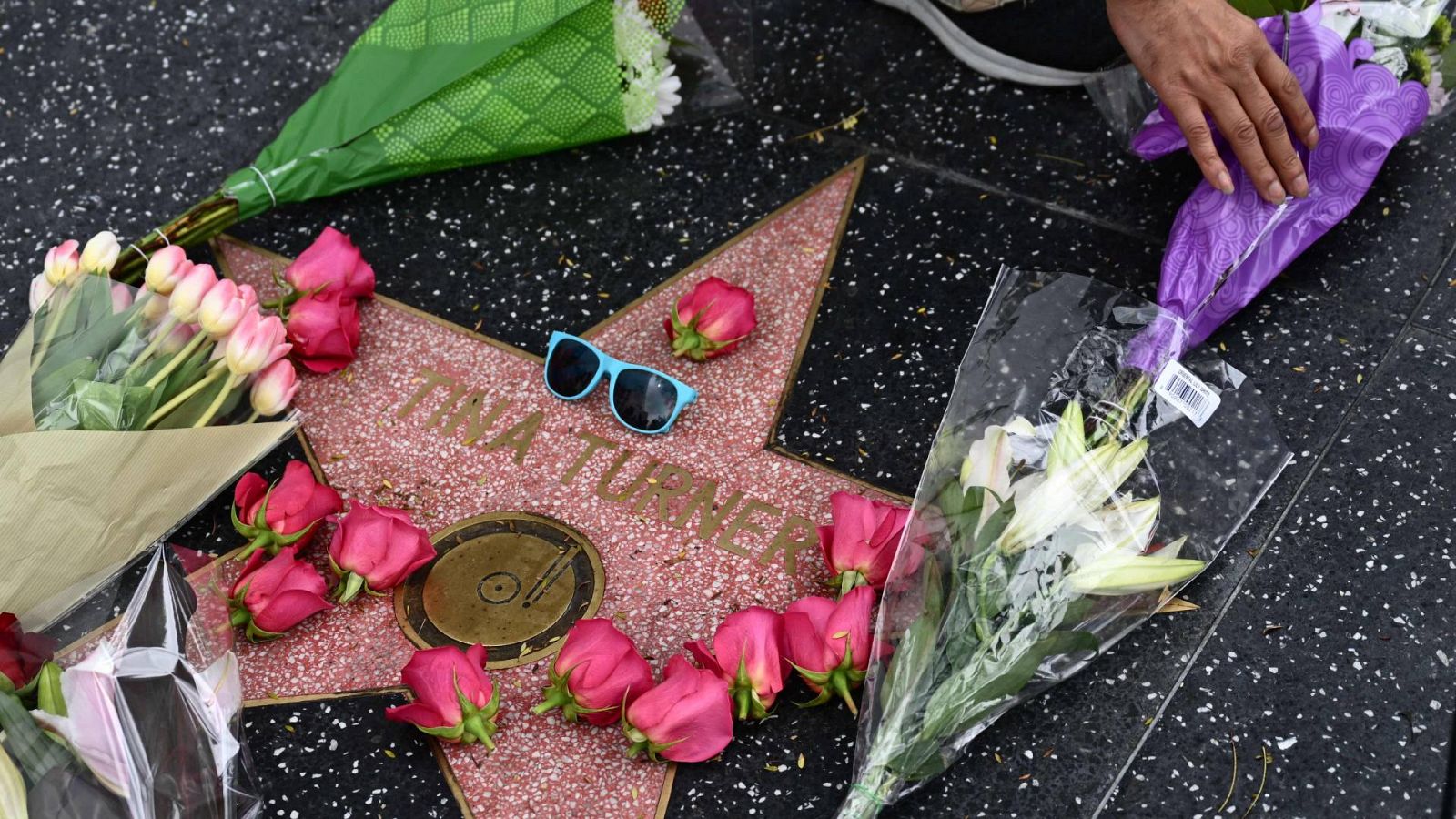 Una persona deja flores en la estrella de Tina Turner, en el paseo de la fama de Hollywood