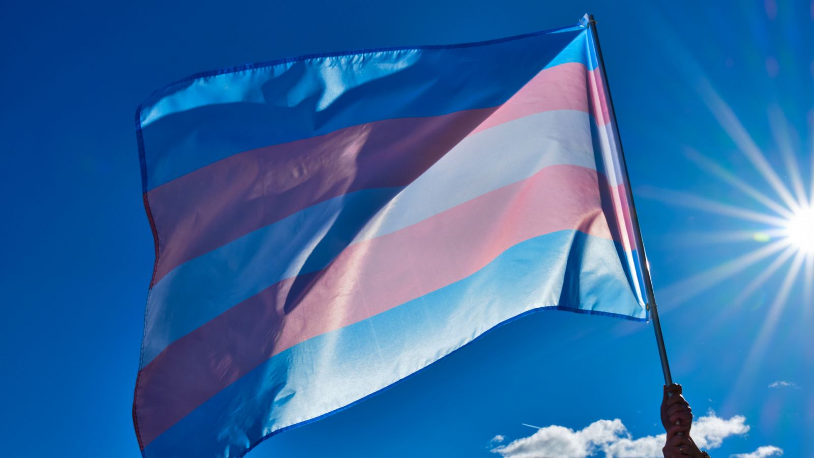 Imagen de archino de la bandera trans.