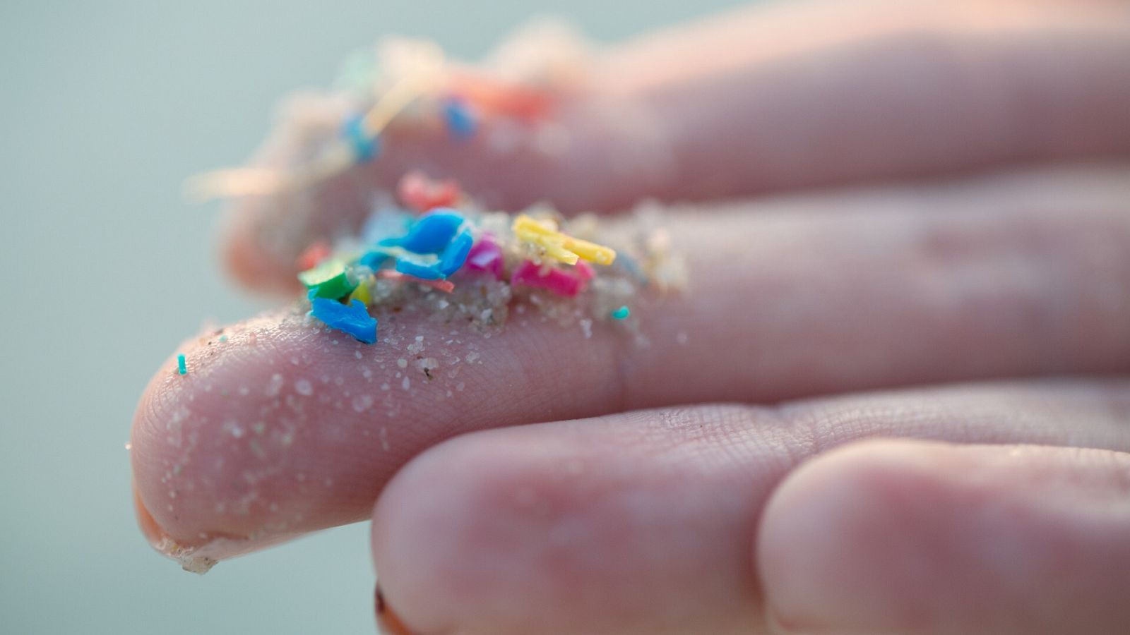 Una persona sostiene pequeños trozos de plástico en sus dedos
