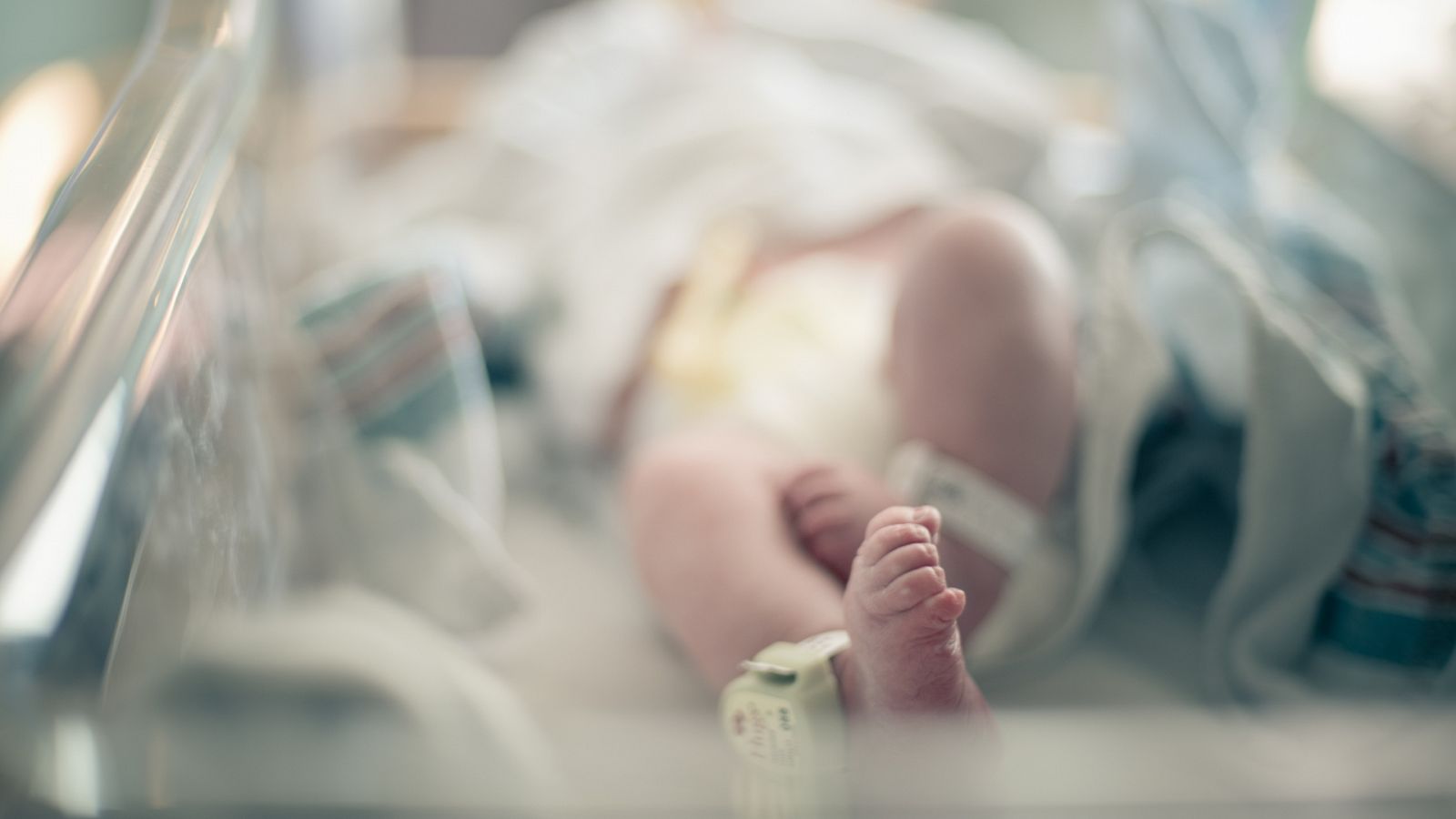 Las autoridades sanitarias europeas califican como "bajo" el riesgo para la salud pública de la población neonatal.