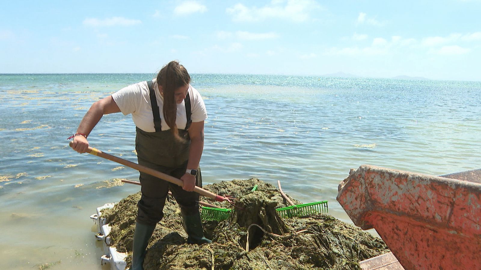 Operarios limpiando el Mar Menor