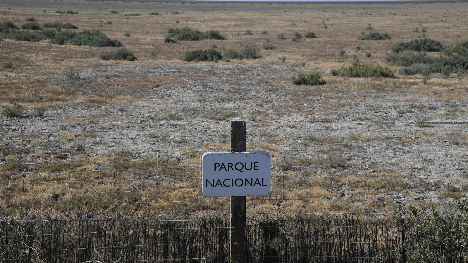 El Parque Nacional de Doñana en una imagen tomada en mayo de 2023