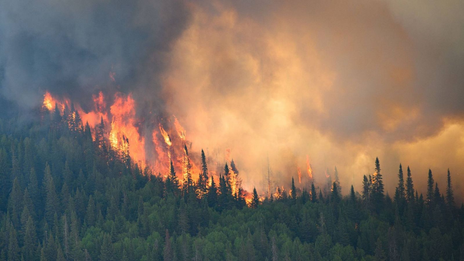 Las llamas se extienden hacia arriba a lo largo de un incendio forestal cerca de Mistissini, Quebec, Canadá.