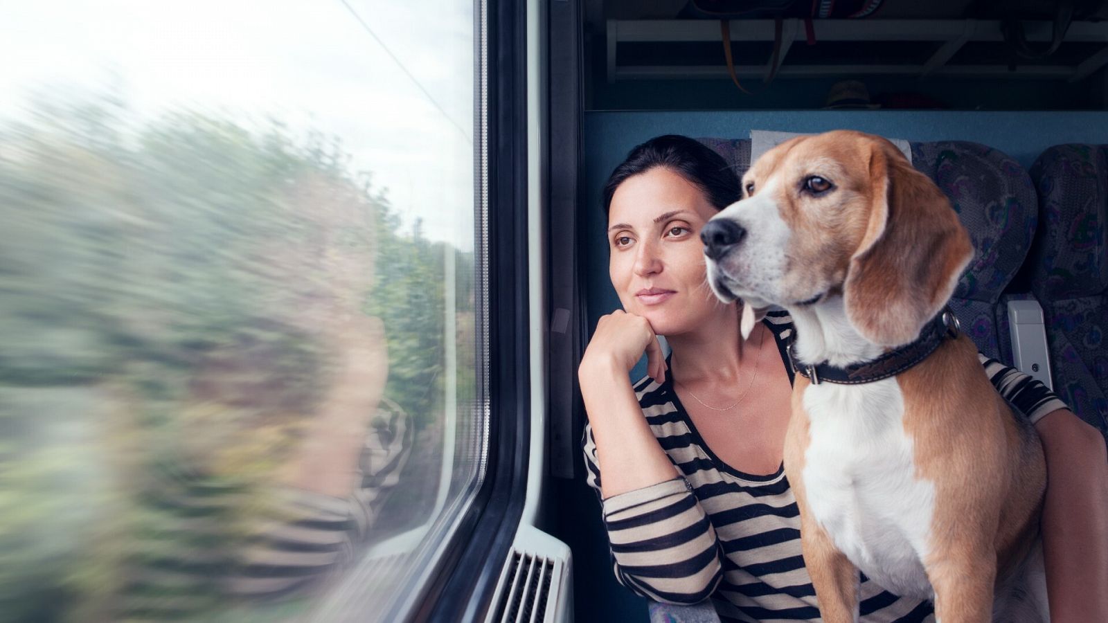 Una mujer viaja con su perro en tren