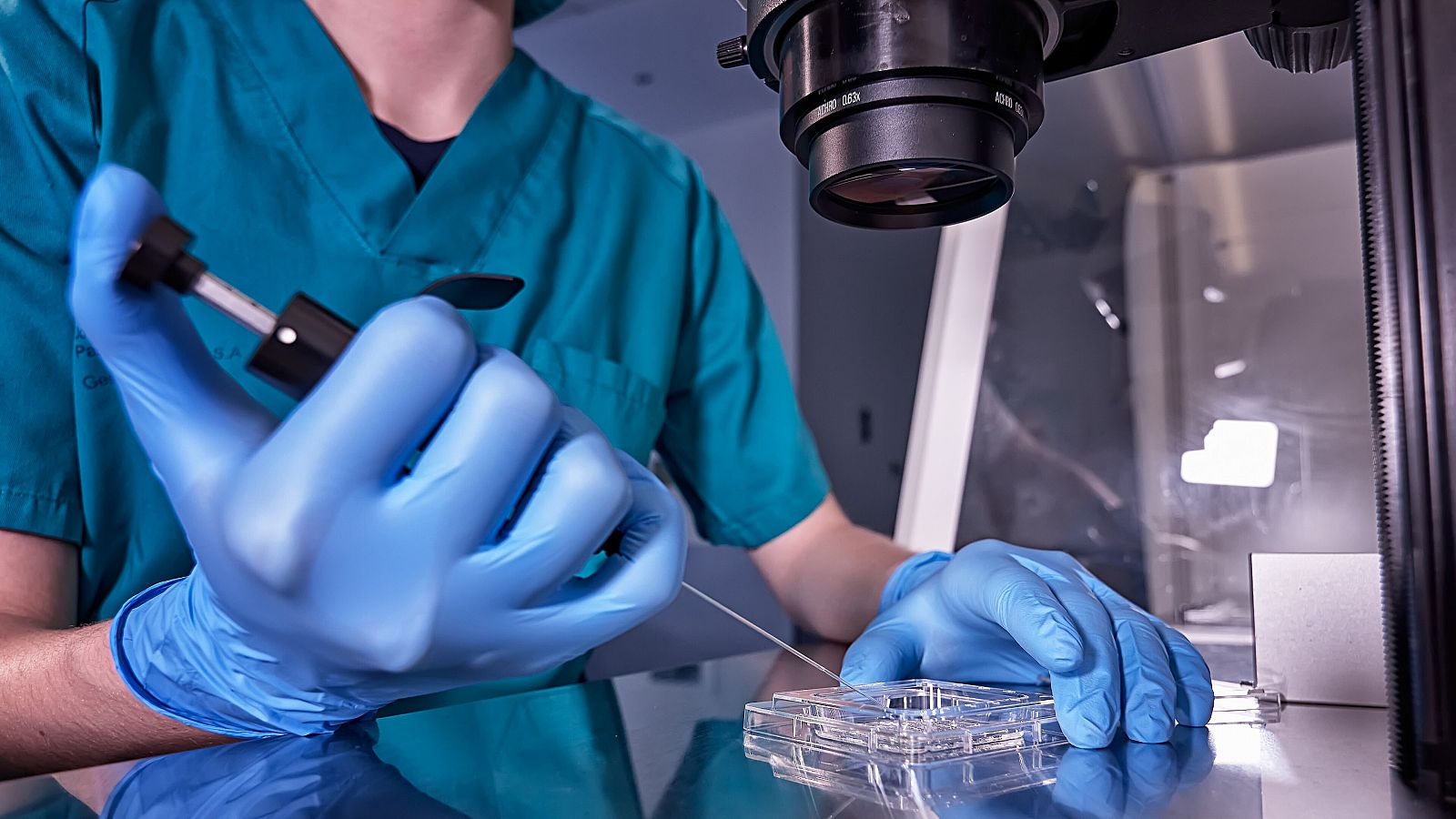 Científico en un laboratorio manipulando embriones