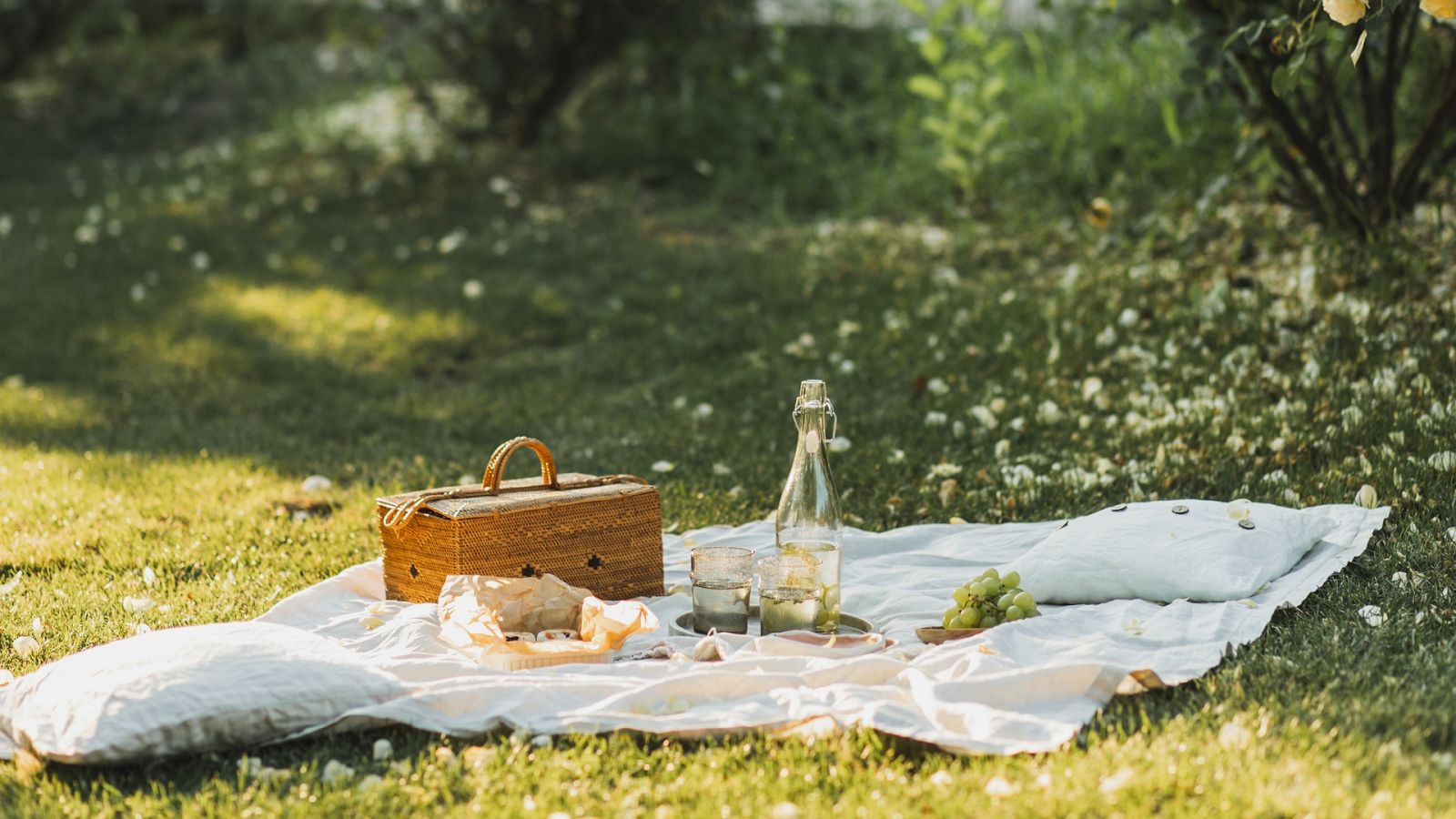 Consejos para el picnic perfecto