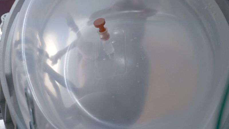 Imatge de la placenta artificial