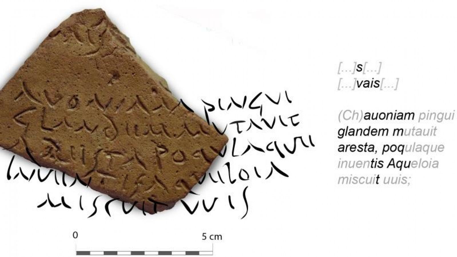 Fragmento del ánfora romana de aceite de la Bética encontrada en Hornachuelos con versos de Virgilio