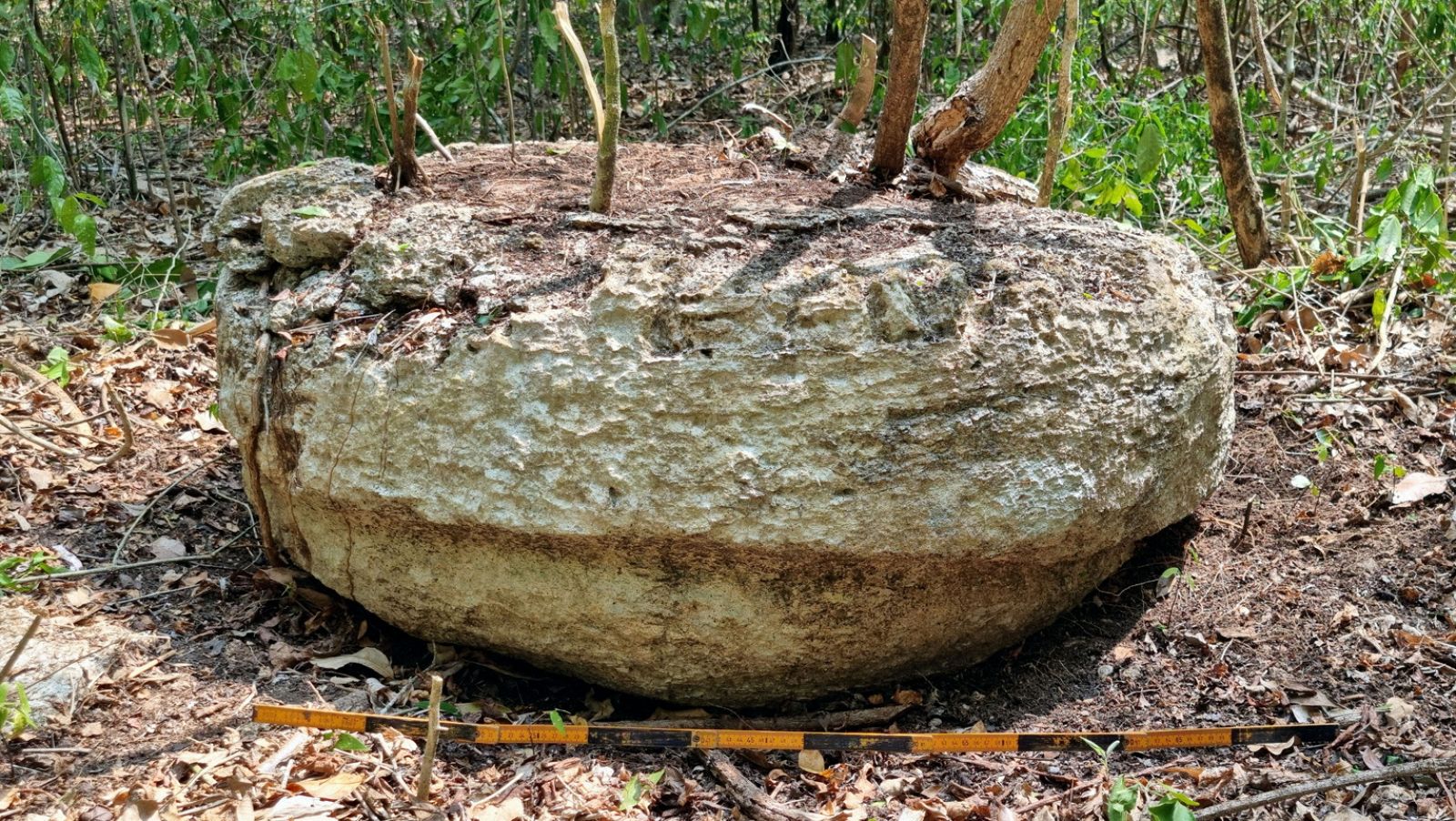 Parte de una piedra de un altar descubierta en Campeche (México).