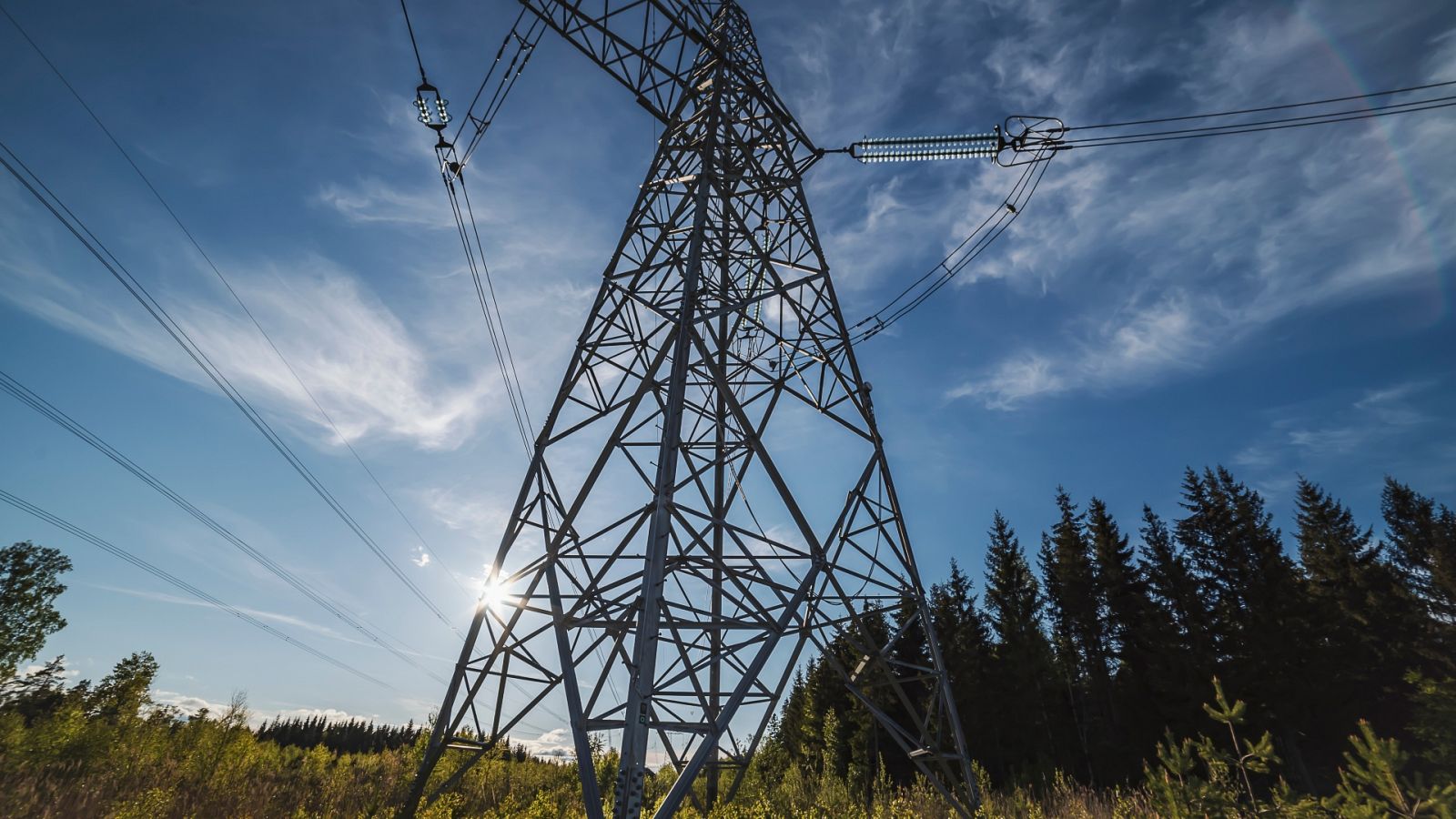 La luz cae un 12% respecto al sábado