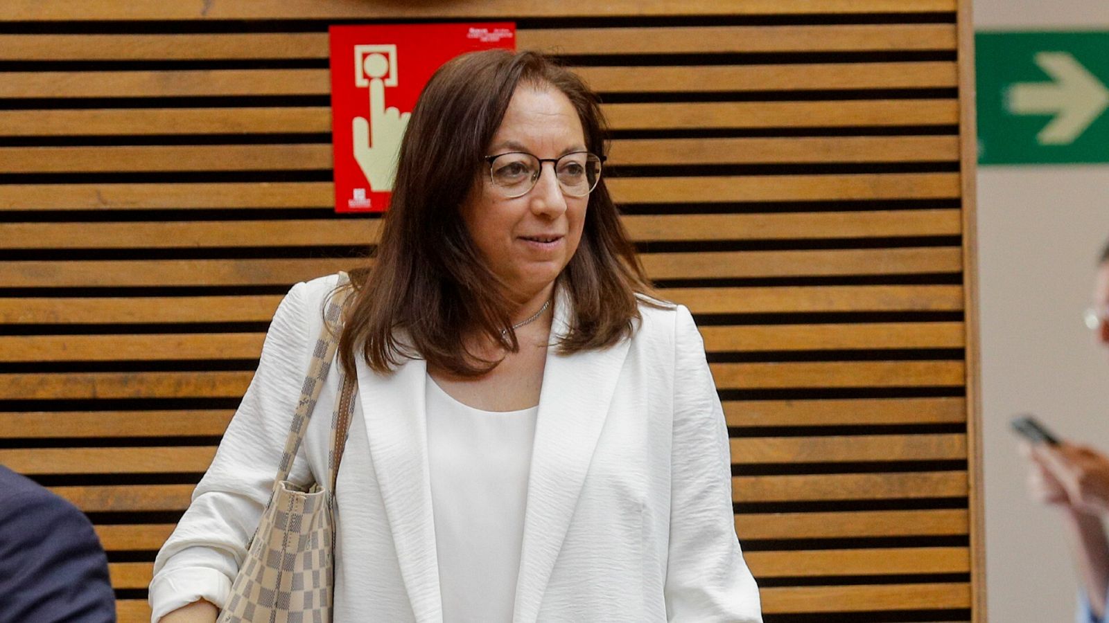 La diputada autonómica de Vox Llanos Massó