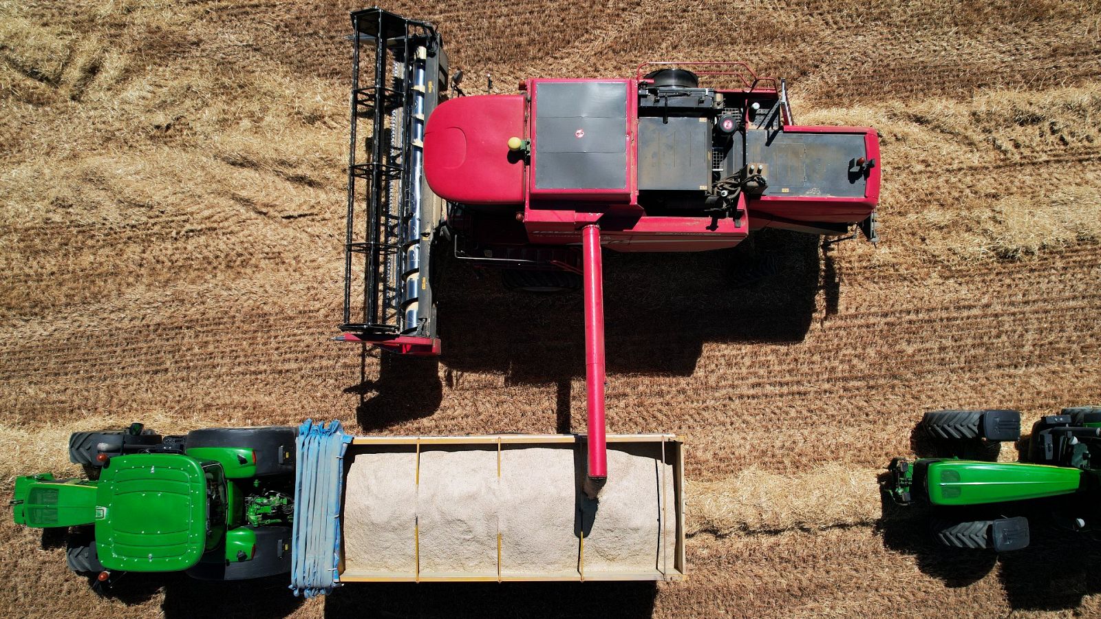 Imagen tomada desde un dron de una máquina cosechadora